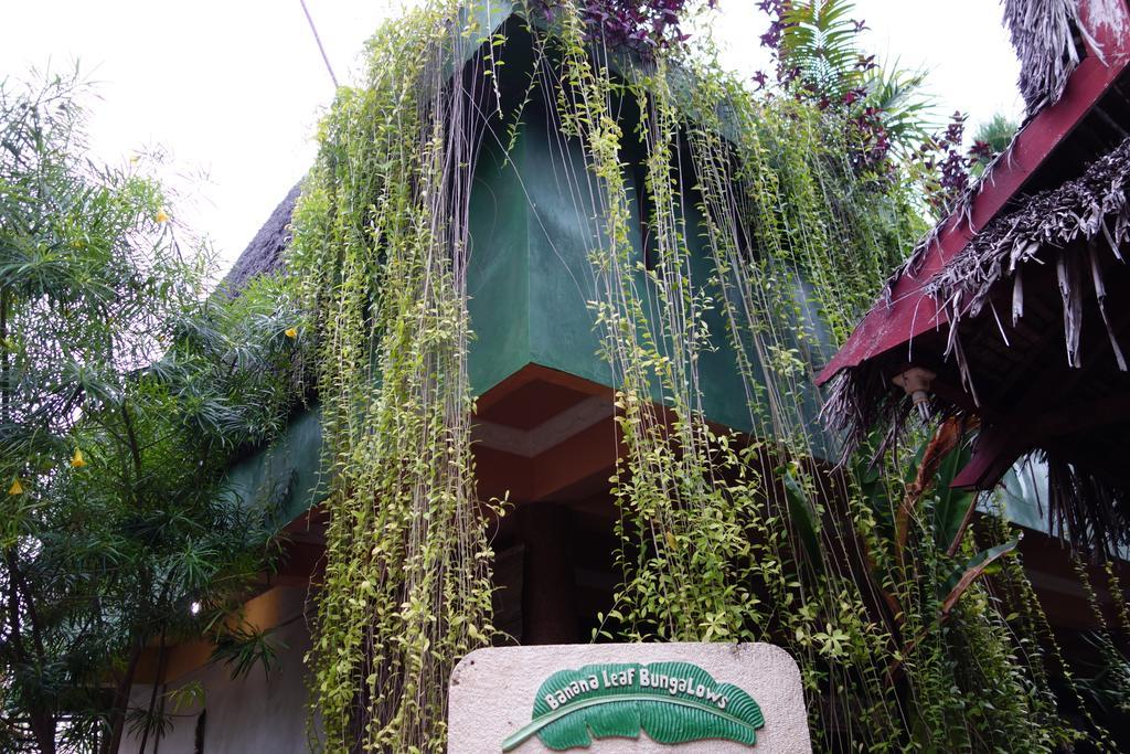 Banana Leaf Bungalow Gili Trawangan Exterior photo