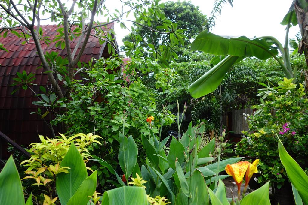 Banana Leaf Bungalow Gili Trawangan Exterior photo
